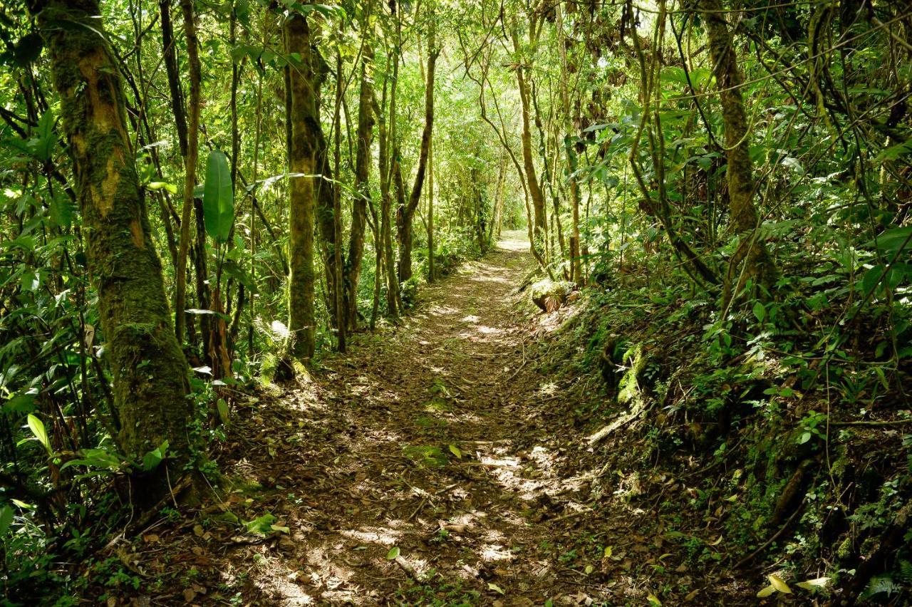 Talamanca Nature Reserve Rivas 외부 사진