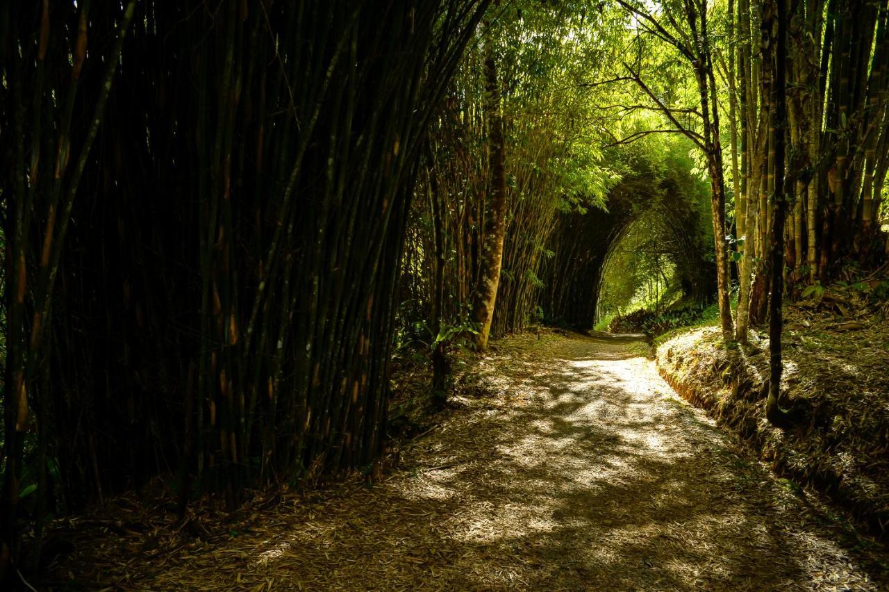 Talamanca Nature Reserve Rivas 외부 사진