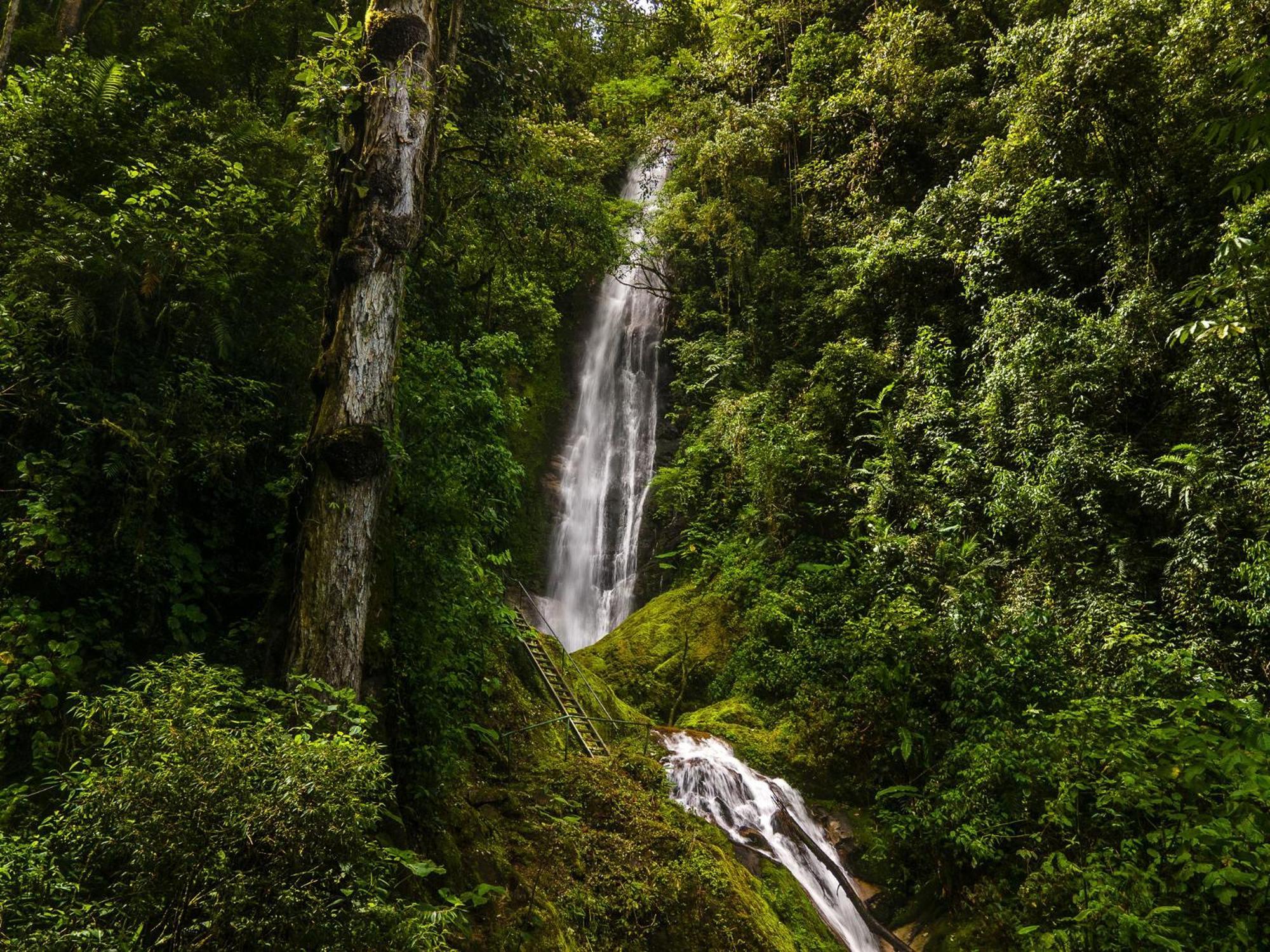 Talamanca Nature Reserve Rivas 외부 사진