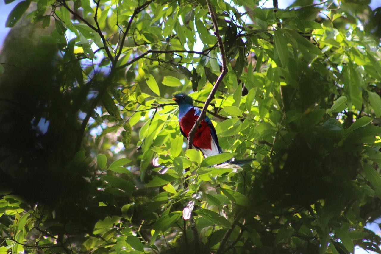 Talamanca Nature Reserve Rivas 외부 사진