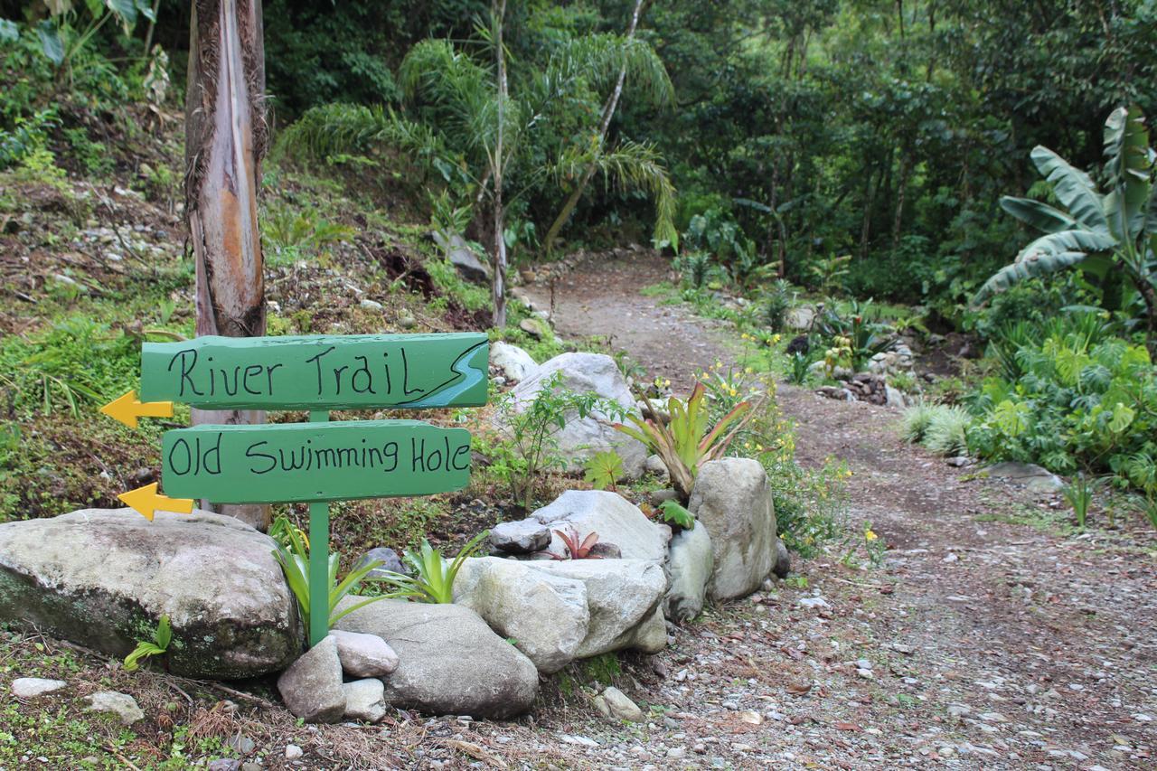 Talamanca Nature Reserve Rivas 외부 사진