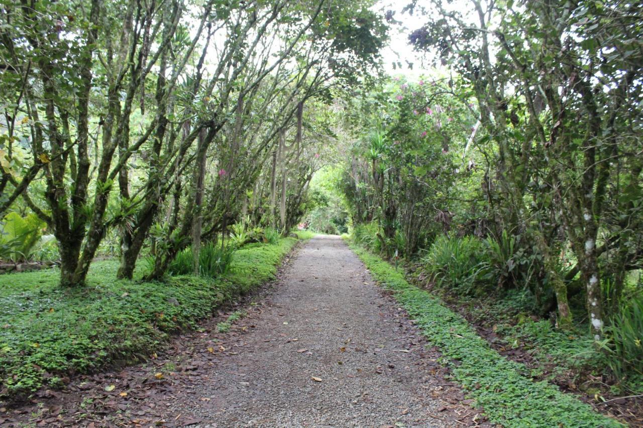 Talamanca Nature Reserve Rivas 외부 사진